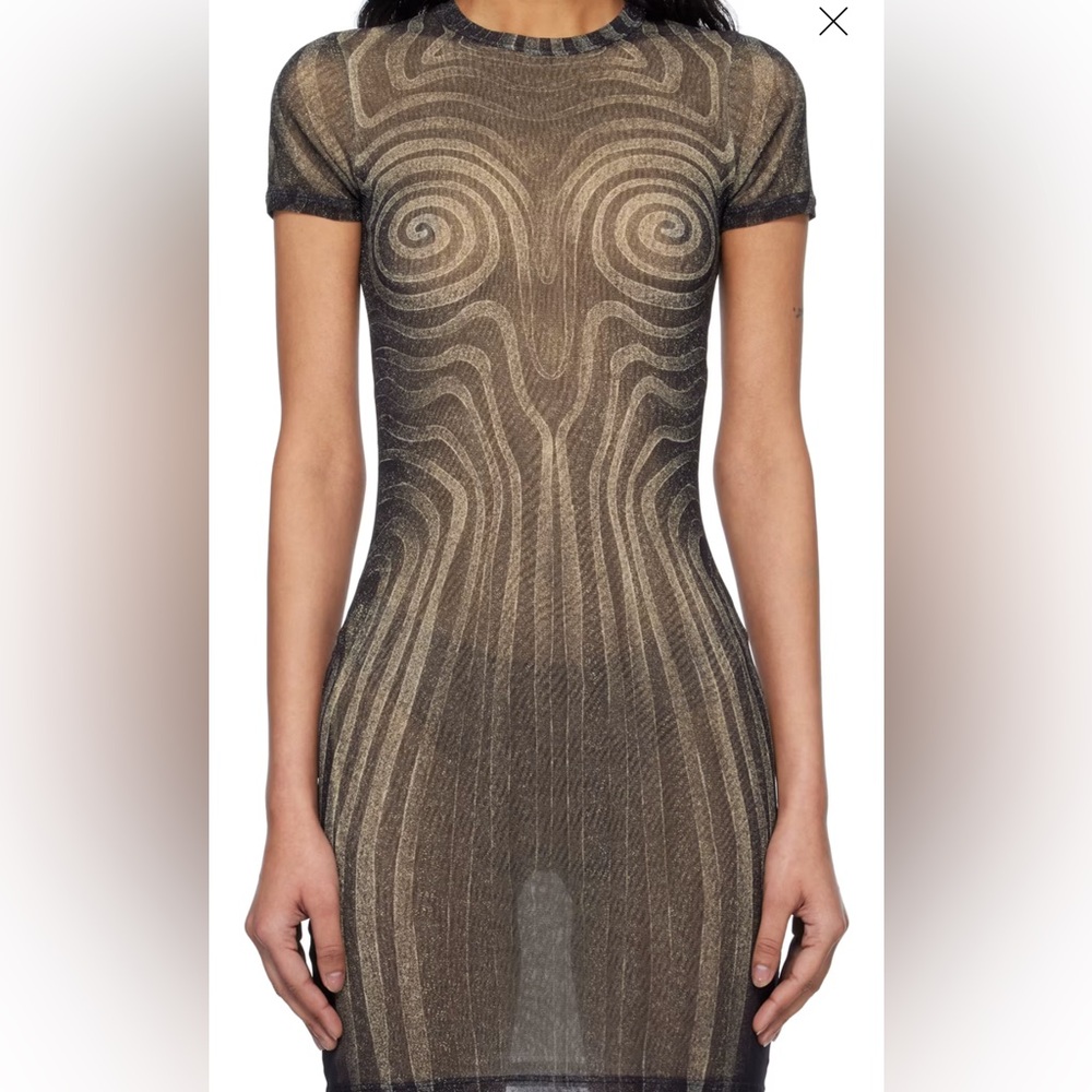 Elegant Black Sheer Dress